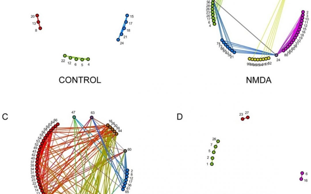 Oxytocin prevents neuronal network pain-related changes on spinal cord dorsal horn In vitro