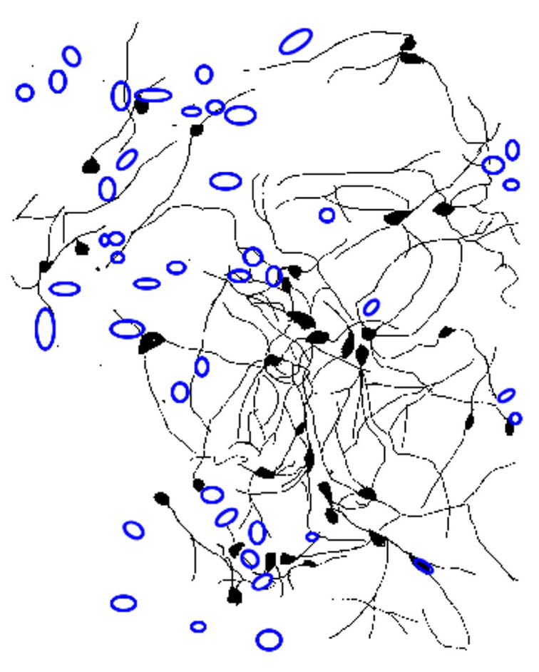 This Week in The Journal | INSTITUTO DE NEUROBIOLOGÍA