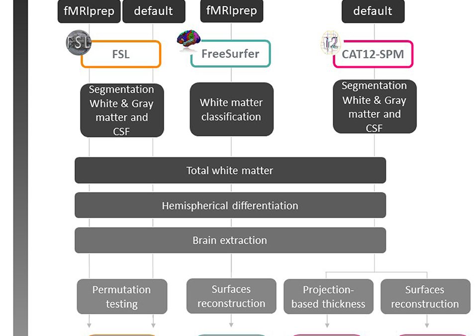 Theory of Mind and Its Elusive Structural Substrate